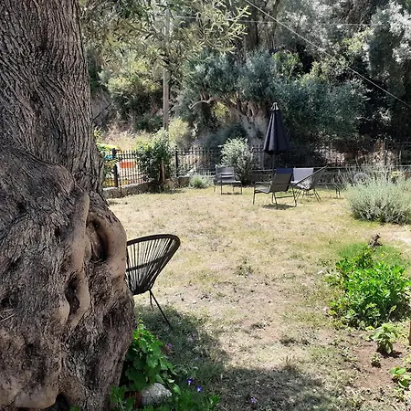 Lägenhetshotell Sea Pebble 3*